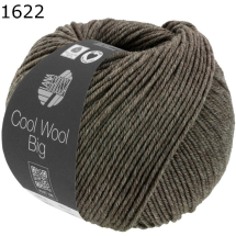 Cool Wool Big melange Lana Grossa Farbe 622