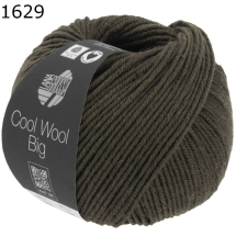 Cool Wool Big melange Lana Grossa Farbe 629