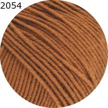 Cool Wool Lana Grossa Farbe 2054