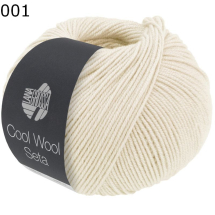Cool Wool Seta Lana Grossa Farbe 1