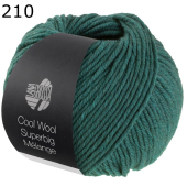 Cool Wool Superbig melange Lana Grossa Farbe 210