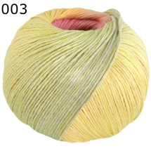 Cotonella Lana Grossa Farbe 3