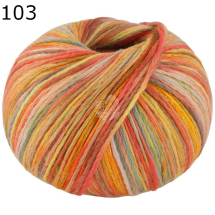 Cotonella Multi Lana Grossa Farbe 103