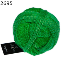 Crazy Boys Schoppel Wolle Farbe 695