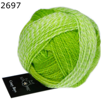 Crazy Boys Schoppel Wolle Farbe 697