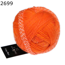 Crazy Boys Schoppel Wolle Farbe 699