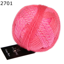 Crazy Boys Schoppel Wolle Farbe 701