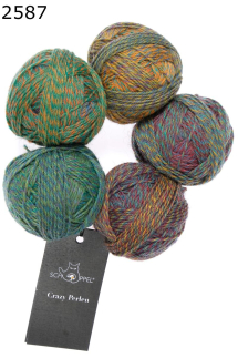 Crazy Perlen Schoppel Wolle Farbe 587