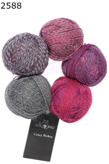 Crazy Perlen Schoppel Wolle Farbe 588