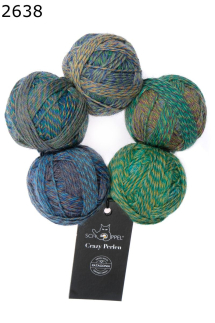 Crazy Perlen Schoppel Wolle Farbe 638