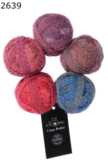 Crazy Perlen Schoppel Wolle Farbe 639