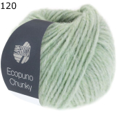 Ecopuno Chunky Lana Grossa Farbe 120