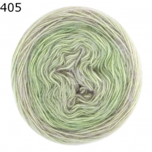 Ecopuno Degrade Lana Grossa Farbe 405
