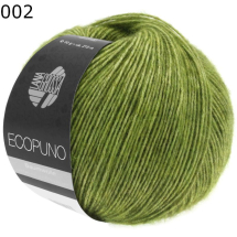 Ecopuno Lana Grossa Farbe 2
