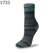 Flotte Socke Patagonia Mnnersache Rellana Farbe 733
