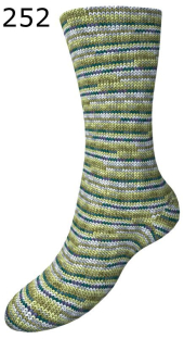 Fortissima Allgu Schoeller-Stahl Farbe 252