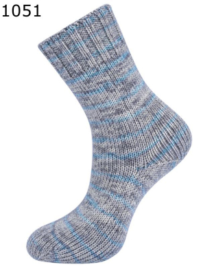 Fortissima Anden Colours Schoeller-Stahl Farbe 51