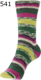 Fortissima Bazar Color Schoeller Stahl Farbe 541
