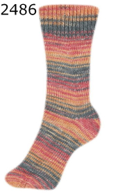 Fortissima Color 4f Schoeller Stahl Farbe 486