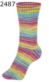 Fortissima Color 4f Schoeller Stahl Farbe 487