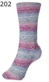 Fortissima Color 6f Schoeller Stahl Farbe 202
