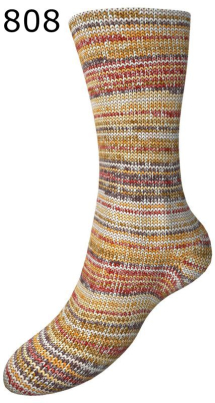 Fortissima Color 8fach Schoeller-Stahl Farbe 807