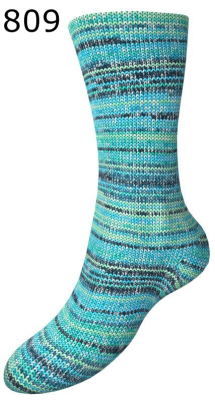 Fortissima Color 8fach Schoeller-Stahl Farbe 809