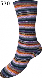 Fortissima Color Mix Schoeller Stahl Farbe 530