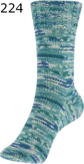 Fortissima Gekko Schoeller Stahl Farbe 224