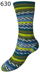 Fortissima Picknick Schoeller-Stahl Farbe 630