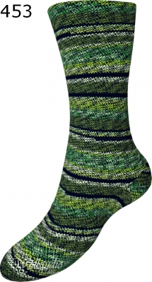 Fortissima Rodeo Schoeller Stahl Farbe 453