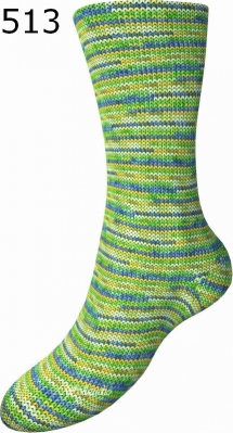 Fortissima Spektrum Schoeller Stahl Farbe 513
