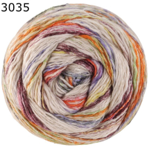 Gomitolo Hippie Lana Grossa Farbe 35