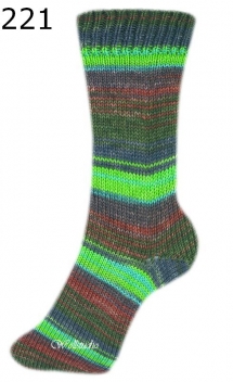 Irish Rainbow Colours Step 6 Austermann Farbe 221