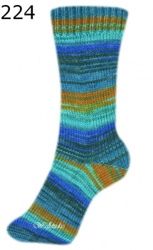 Irish Rainbow Colours Step 6 Austermann Farbe 224