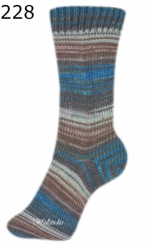 Irish Rainbow Colours Step 6 Austermann Farbe 228