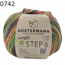 Irish Rainbow Step 6 Austermann Farbe 742