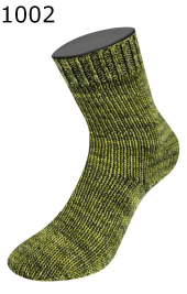 Meilenweit 100 Lana Grossa Vintage Socks Farbe 2
