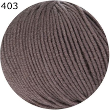 Merino 120 Ferner Farbe 403