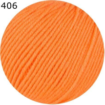Merino 120 Ferner Farbe 406