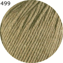 Merino 120 Ferner Farbe 499