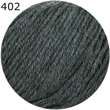 Merino 160 Ferner Farbe 402
