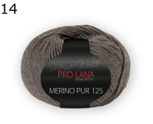 Merino Pur 125 Pro Lana Farbe 14