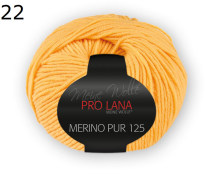 Merino Pur 125 Pro Lana Farbe 22