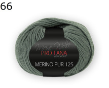 Merino Pur 125 Pro Lana Farbe 66