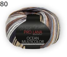 Ocean Multicolor Pro Lana Farbe 80