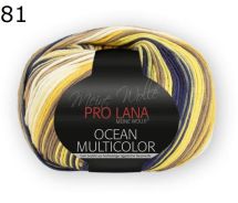 Ocean Multicolor Pro Lana Farbe 81