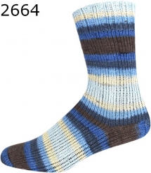 Paradise Color ONline Sockenwolle 312 Farbe 2664