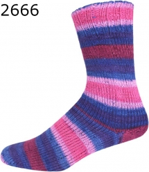 Paradise Color ONline Sockenwolle 312 Farbe 2666