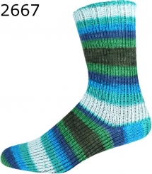 Paradise Color ONline Sockenwolle 312 Farbe 2667